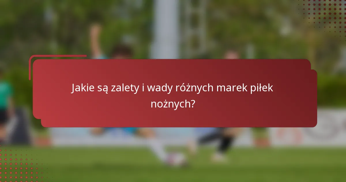 Jakie są zalety i wady różnych marek piłek nożnych?